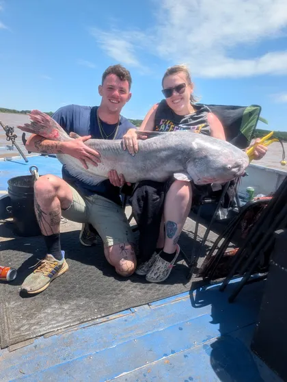 Blue catfish caught on Milford Lake with Todd's Blue Cat Guide Service