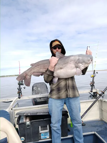 Blue catfish caught on Milford Lake with Todd's Blue Cat Guide Service