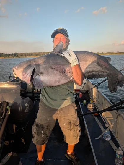 Blue catfish caught on Milford Lake with Todd's Blue Cat Guide Service
