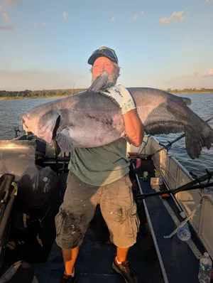 Angler at golden hour holding a giant blue catfish on Milford Lake