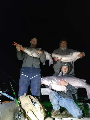 Three anglers holding blue catfish caught on a night trip on Milford Lake